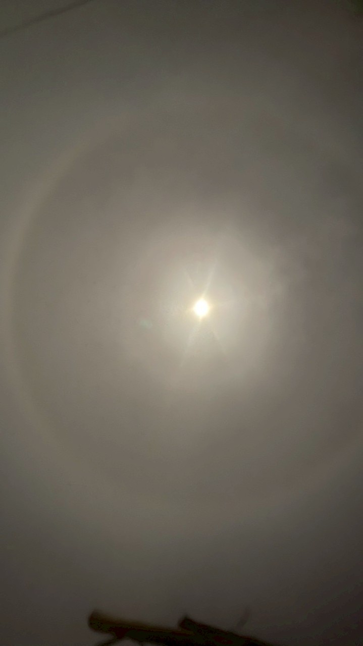 ชายเดียวชลบุรี