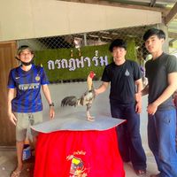 กรกฎ ฟาร์ม🫶🏻🐓💗(พัฒนาพม่าตีเชิง เบอร์เเข้งดีดี)
