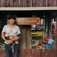 ไฉนดอนเมือง สายพม่า