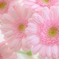 思春期反抗期で悩む親の会&日頃の愚痴を話しましょ
