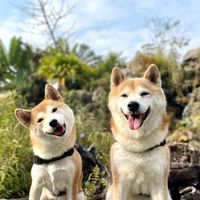 比比的秘密花園～🐕寵物友善環境空間