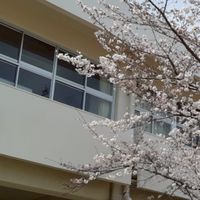 ポプラ友の会(片山校長先生を囲む会)