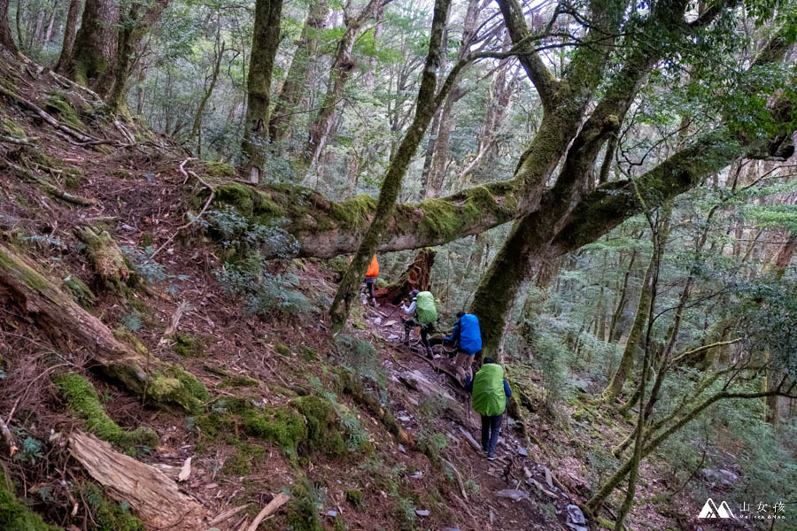 山女孩MelissaxMao冒險生活_戒茂司上嘉明湖三天兩夜_登山紀錄分享-31.jpg