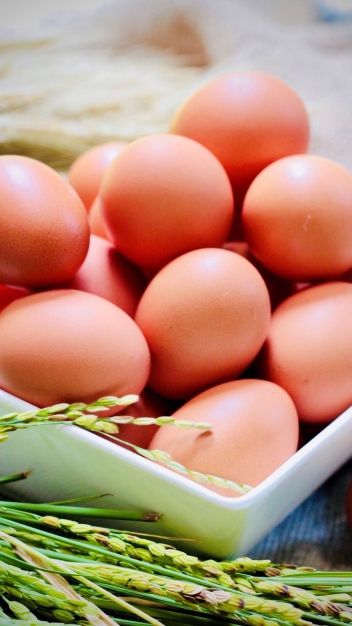 （宏觀大器）友善飼養健康無毒蛋