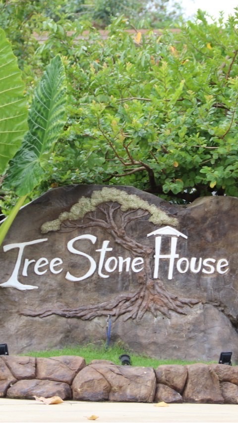 Tree Stone House