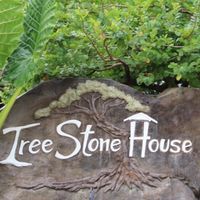 Tree Stone House