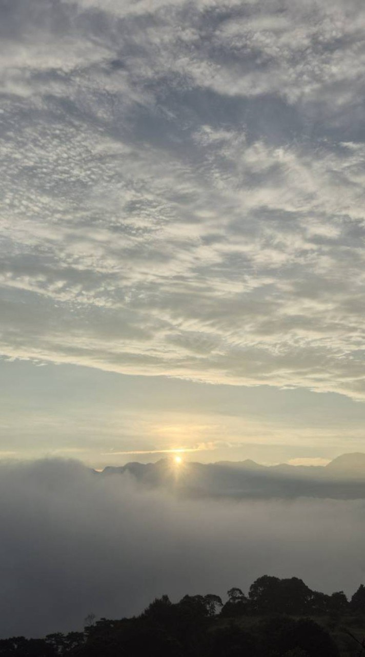 115-08-01武界雲海民宿
