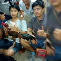 จิมดอยเต่าเชียงใหม่