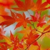 「シニアから楽しく 笑顔で過ごしましょう」