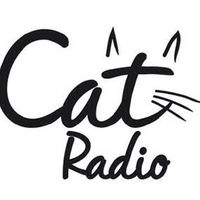 Cat Radio.. 😽😻