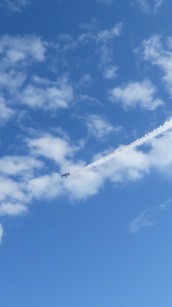 ★ ₊ ° ⊹ ˖ ° ﾟ₊ °˖そらいろroom 上を向いて行こう★ ₊ ° ⊹ ˖ ° ﾟ₊ °