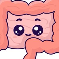 大腸ちゃんの腸活部屋