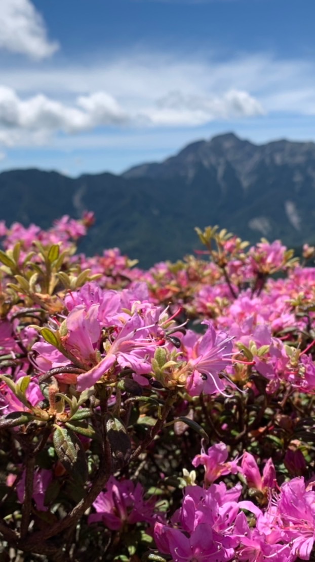 Jo團去爬山