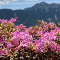Jo團去爬山