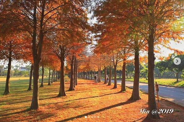 圖片來源：IG @zhougengmin