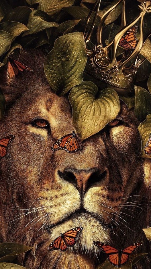 🍀 🦁 Lion Club 🦁 🍀 OpenChat