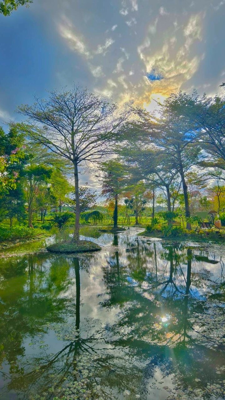 慈心大自然莊園-綠蔭合夥人