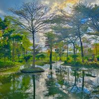 慈心大自然莊園-綠蔭合夥人
