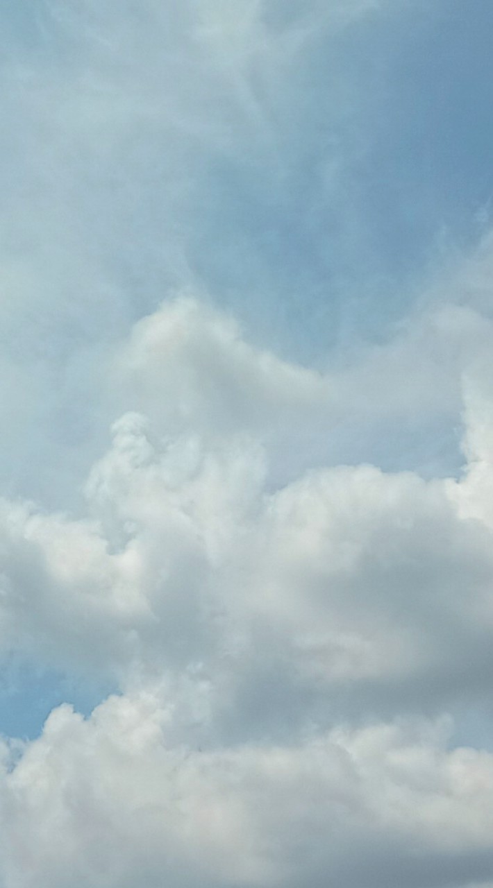 スプラトゥーン3勢カモン👾