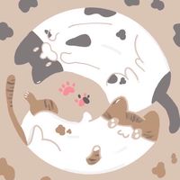 懷疑貓生🐈貓貓全品項🐈