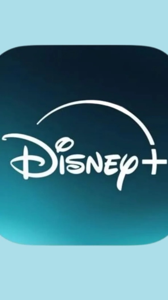 Disney+(113/07/08-114/07/07）