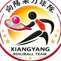 蘭城向陽柔力球隊