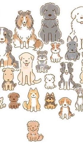 OpenChat 埼玉おさんぽ犬友会