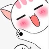 命運聖契S39四葉草喵喵