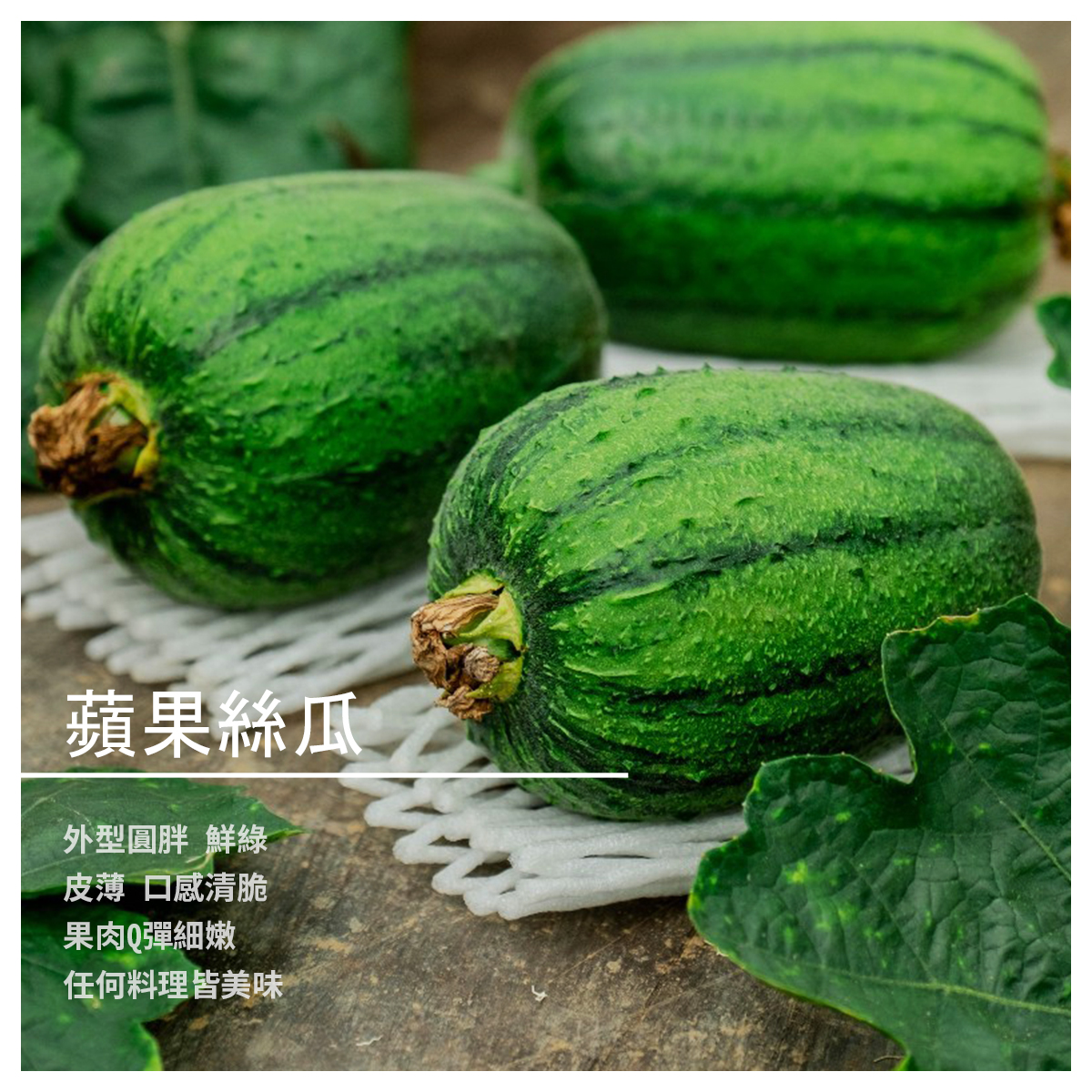 蘋果絲瓜 約600g／6顆裝 商品介紹 外型圓胖 如蘋果一般 圓潤鮮綠的青皮絲瓜 滋味清甜，果肉Q彈細緻 比一般絲瓜口感更為清脆 適合各種料理方式！ 產地直送，小農自產自銷， 高棚架栽培，果實全程套袋