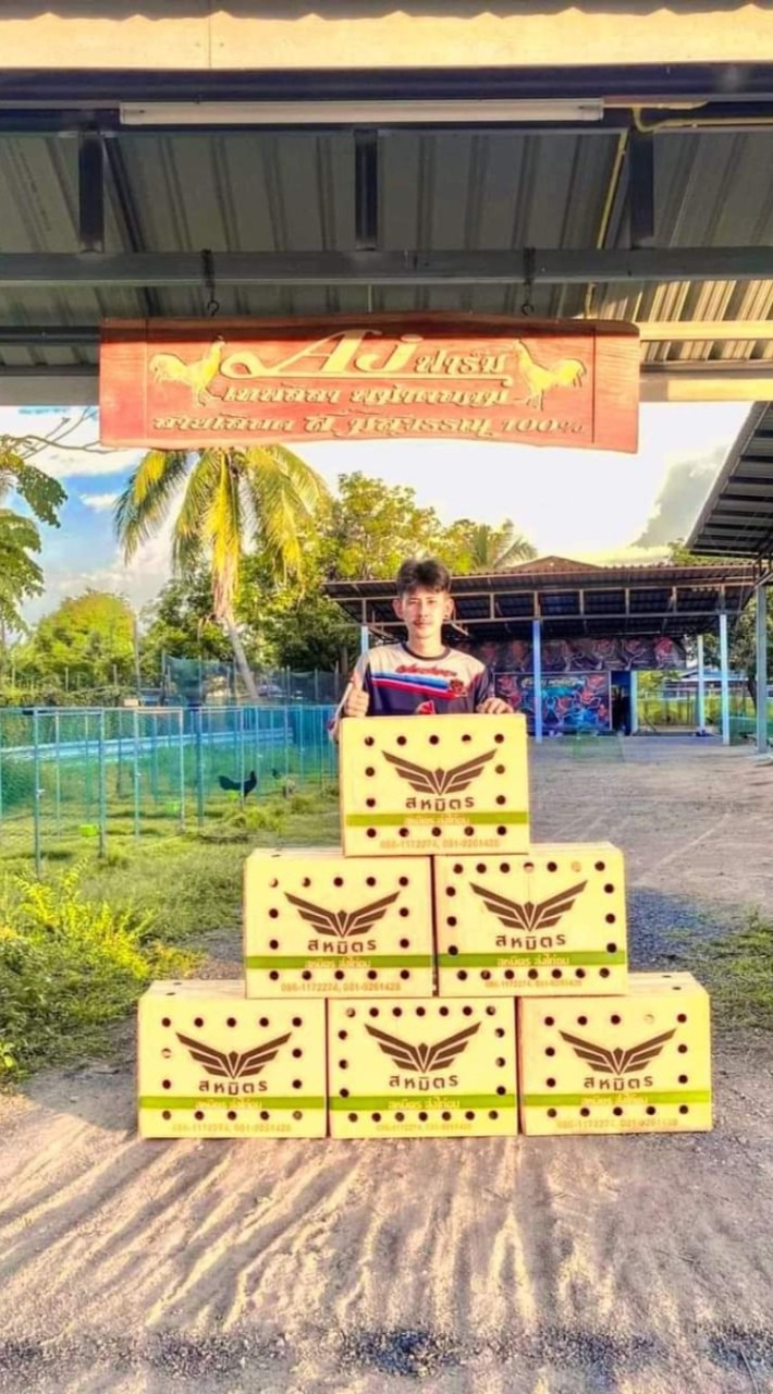 ซุ้มเด็กเก็บเงิน🐓 (byมัสเอเจฟาร์ม)
