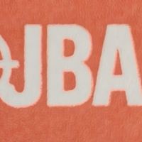JBA街霸生物驅離 移除團隊