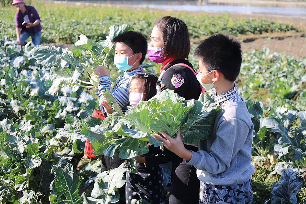 時序進入二月正是蔬菜豐收時節，可切身體會從產地到餐桌的農村日常。(攝影/Carter)