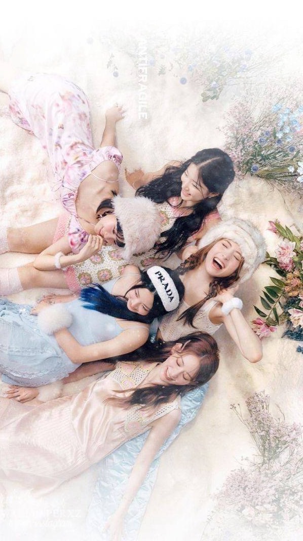 𝐿𝐸 𝑆𝑆𝐸𝑅𝐴𝐹𝐼𝑀 写真･加工 館