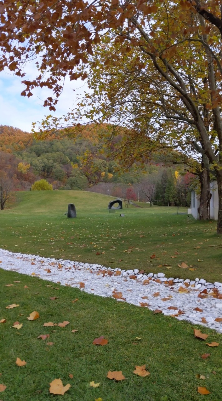 小樽　たんぽぽ文庫　会員限定