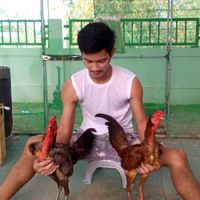 ซุ้ม คิงส์พยัคฆ์