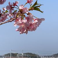 23-1組