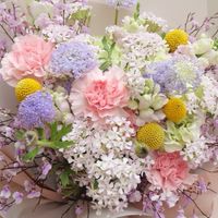 🌼心情小酒窩🌼四季相伴💖（30⬆️55⬇️）