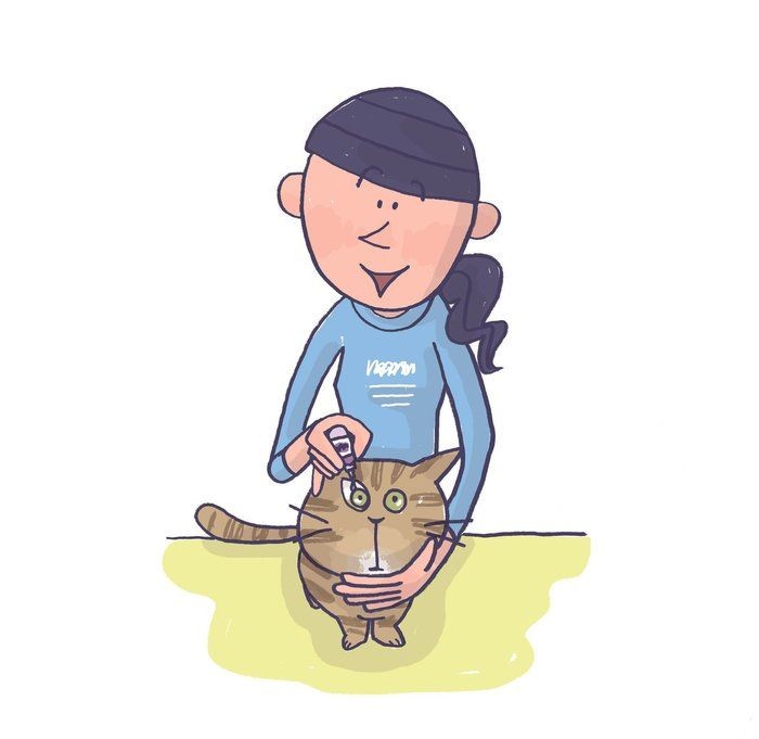 猫の 結膜炎 角膜炎 角膜損傷 をケアするには