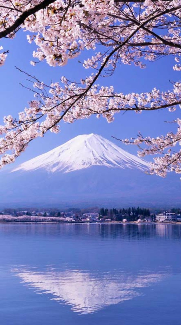 探索世界旅行/休閒/美食 分享群