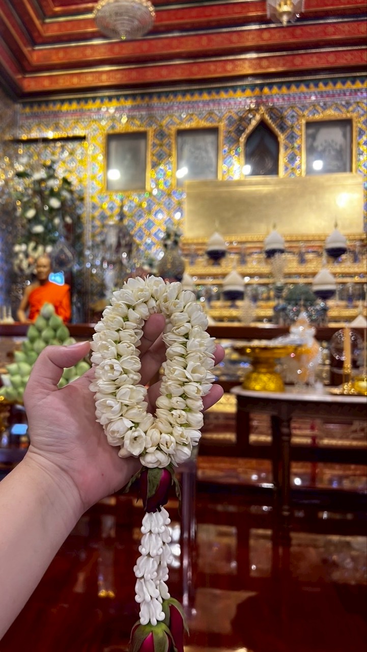 2Shinapak-ส่งงานขาย-ผ่อนตรง/ทั่วไป