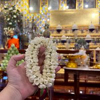 2Shinapak-ส่งงานขาย-ผ่อนตรง/ทั่วไป