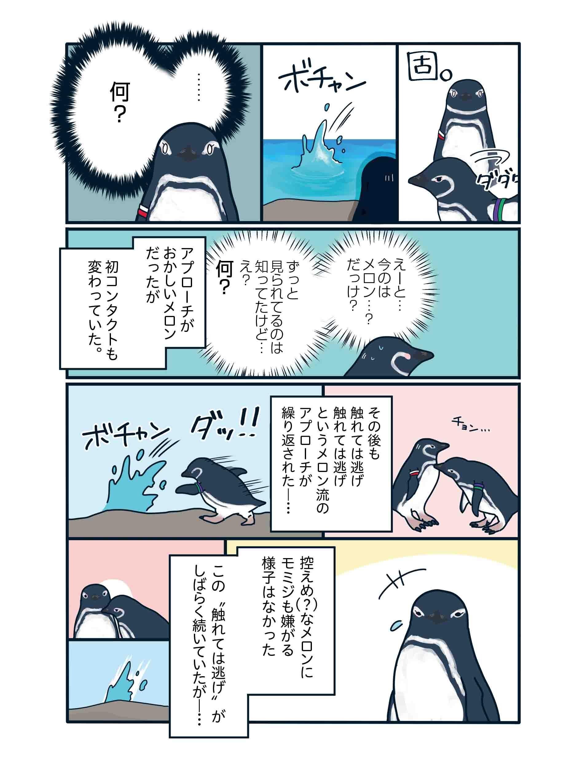 漫画】恋愛に超奥手なペンギンの2年間に及ぶ片想いの結末は