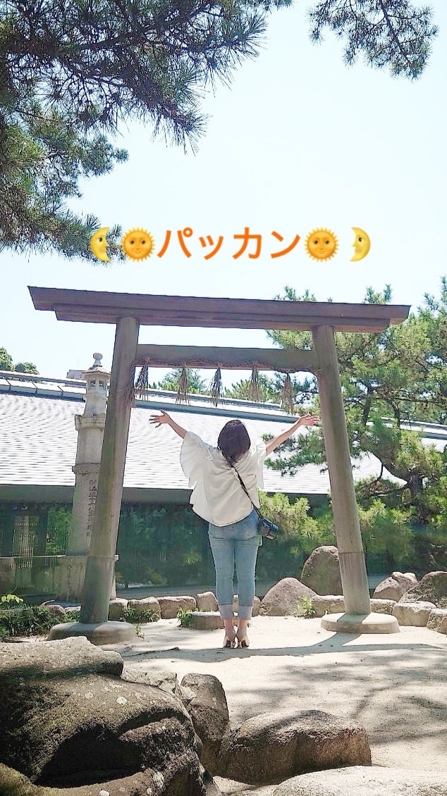 🌜🌞パッカン広場🌞🌛