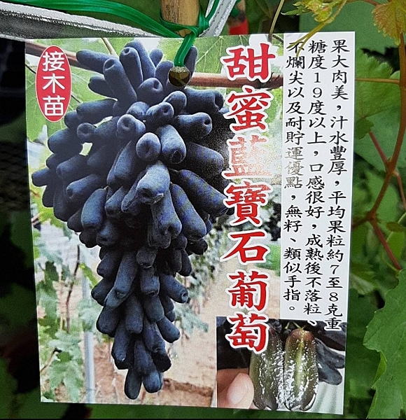 營養十分豐富