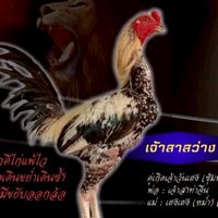 บัวเบญจกัน ฟาร์ม