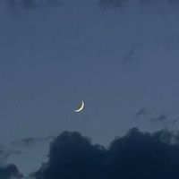 動漫、送圖and聊天群