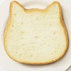 猫好きさんのための猫のスタンプだけの部屋