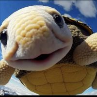 ５０代からの全国昭和世代位ゆるーく雑談🐢🐢