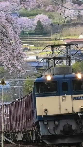 関西スジ公開‼︎(雑談あり・警笛関係)