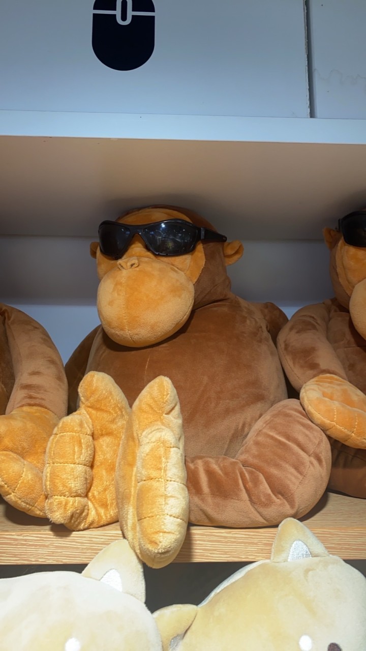動物🐒🐼🐸